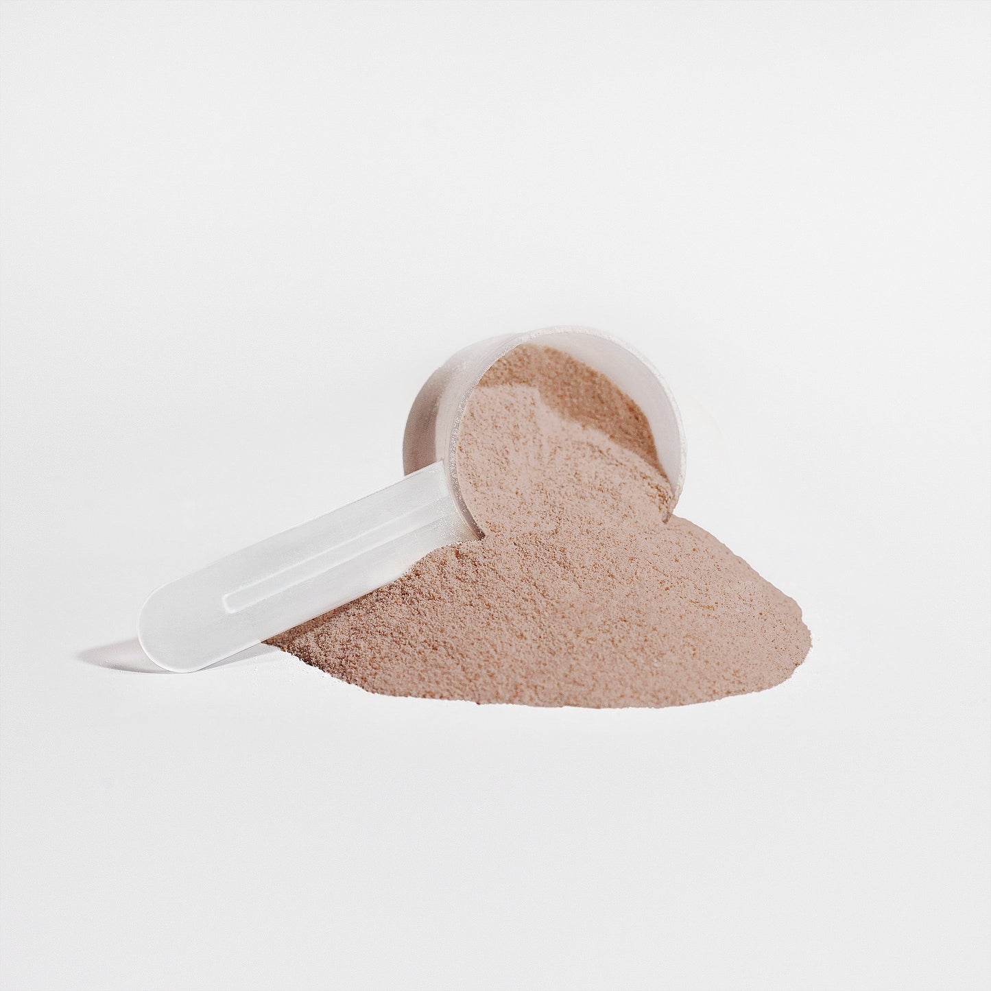 Plant Protein (Chocolate) | 21g Complete Protein, Dairy-Free