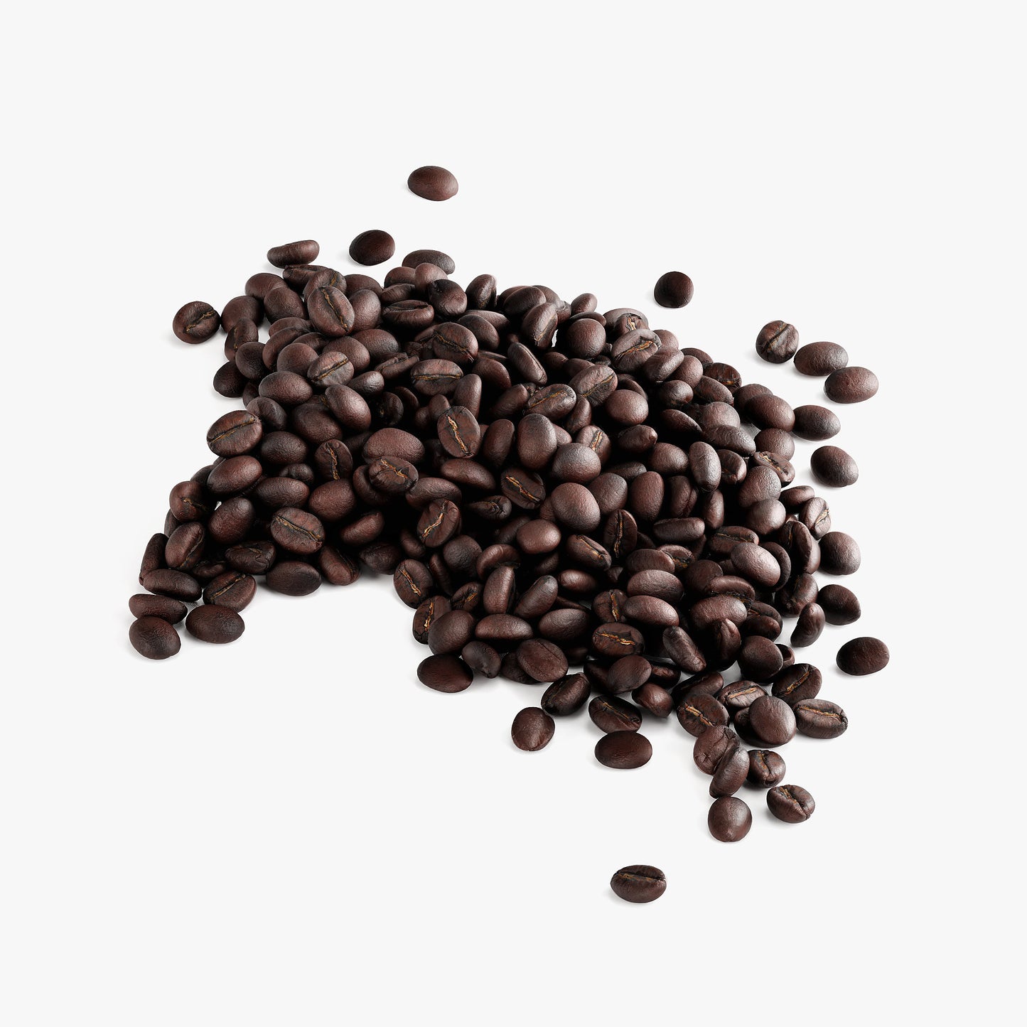 Chocolate Bold Coffee (Dark Roast) — 12 oz